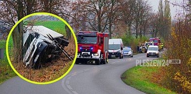 Kierowca dostawczego iveco uderzył w drzewo. Ratował się przed audi [fot]-8138