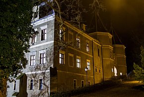 Zamek w Gołuchowie znów w Netfliksie. Premiera na popularnej platformie-11186