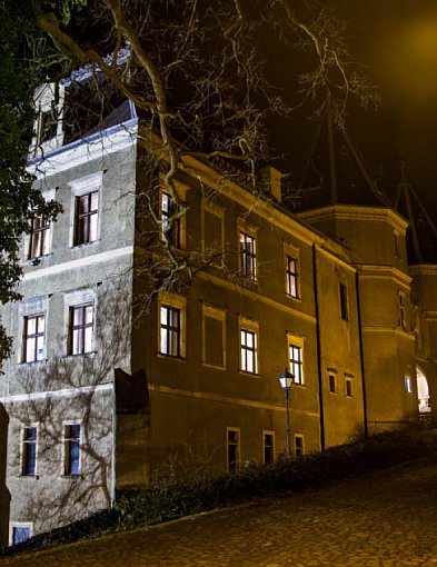 Zamek w Gołuchowie znów w Netfliksie. Premiera na popularnej platformie-11186