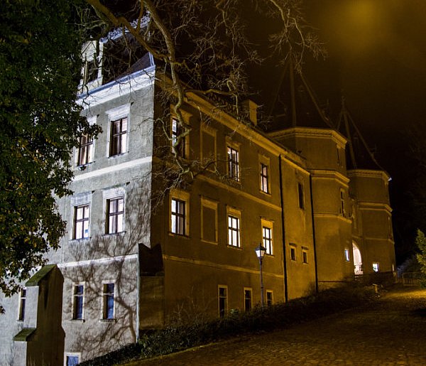 Zamek w Gołuchowie znów w Netfliksie. Premiera na popularnej platformie-11186