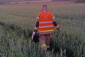 W Brzostowie zaginął mężczyzna. Widziany był, gdy wchodził do lasu-11217