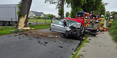 Dramat na drodze. Śmiertelne uderzenie-11537