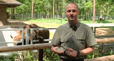 Sława Gołuchowa rośnie. Ten film promocyjny zyskuje popularność w sieci! -12406