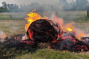 Wieczorna akcja w polu. Błyskawiczna interwencja strażaków-12550
