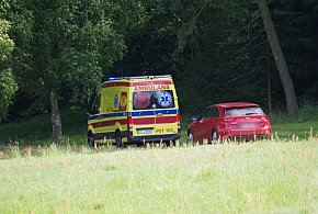 Zaginięcie, które postawiło służby na nogi. Intensywne działania w Gołuchowie-12570