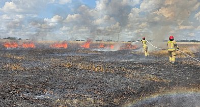 Gorąca sobota w Gminie Pleszew. Pięć zastępów straży w akcji [zdjęcia]-12625