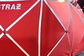 Tragedia na torach pod Pleszewem. Śmierć na miejscu -12634
