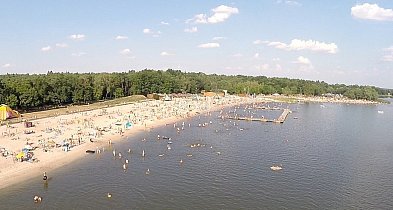 Problem w zalewie: masa śniętych ryb. Jest komunikat. Co z kąpielą?-12763