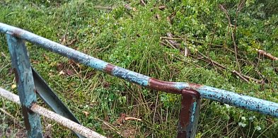 Interwencja: "Niebezpieczne drzewo! Poważnie zagraża bezpieczeństwu"-13024