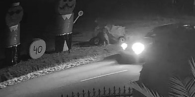 Monitoring ich nagrał. Młodzi ludzie zdewastowali pod Dobrzycą [wideo]-13067