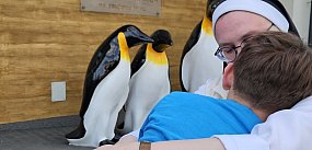 Dom Chłopaków nie będzie mógł przyjmować dzieci