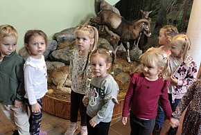 [Zdjęcia] Maluchy z Pleszewa poznały tajemnice lasu-14201