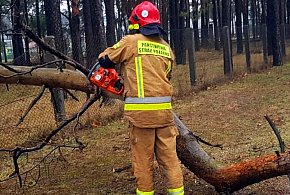 Wiatr w powiecie pleszewskim łamie drzewa. Strażacy apelują o ostrożność-14249