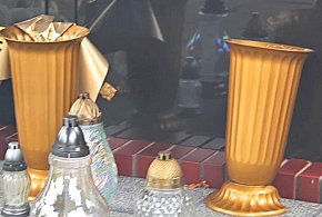 Hieny cmentarne w akcji na Cmentarzu Komunalnym i w innych miejscach-14498