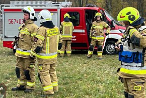 Groźna sytuacja na terenie szkoły. Interweniowali strażacy i energetycy-14636