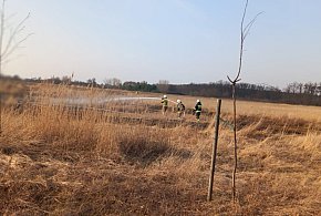 To drugi taki przypadek w ciągu dwóch dni. Pożar w Gołuchowie