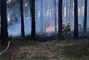 Strażacy z powiatu pleszewskiego ruszyli na pomoc poza swój teren