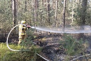 Pożar lasu w gminie Chocz. Pięć zastępów kontra ogień