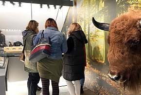 Muzea w Dobrzycy , w Gołuchowie i Śmiełowie czynne w długi weekend! godziny