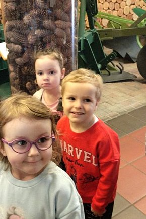 Krokuski i Niezapominajki poznały tajemnice lasu-1653