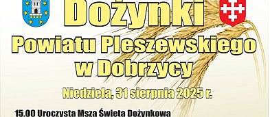 Dożynki Powiatu Pleszewskiego w Dobrzycy-59260