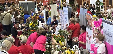 Tak świętuje Wielkopolska! Wilkowice pełne smaków, tradycji i kolorowych palm