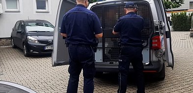 Nietrzeźwi obcokrajowcy: jeden wpadł do rzeki, inny uciekał przed policją