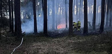 Strażacy z powiatu pleszewskiego ruszyli na pomoc poza swój teren