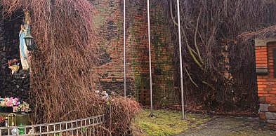 Jest śledztwo: "aby zweryfikować wstępne ustalenia ws. zwłok pod kościołem"