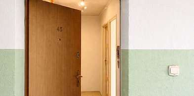 Patoadopcja. Pleszewskie Stowarzyszenie odebrało koty w Kaliszu