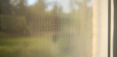 Jakie moskitiery wybrać do domu i mieszkania?