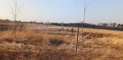 To drugi taki przypadek w ciągu dwóch dni. Pożar w Gołuchowie