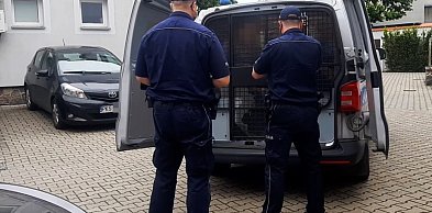 Nietrzeźwi obcokrajowcy: jeden wpadł do rzeki, inny uciekał przed policją