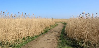 Cztery gminy w powiatu pleszewskiego z dofinansowaniem na drogi