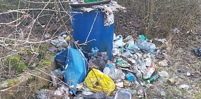 Kilogramy śmieci, w tym odpady remontowe, nad zalewem w Gołuchowie