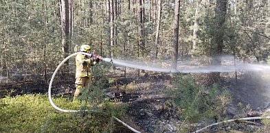 Pożar lasu w gminie Chocz. Pięć zastępów kontra ogień