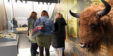 Muzea w Dobrzycy i w Gołuchowie czynne w długi weekend! Jakie godziny?