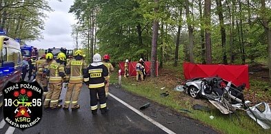 [Fot] Tragiczny wypadek w Wielkopolsce. Dwoje młodych Ukraińców nie żyje