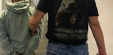 Obywatelskie ujęcie Kolumbijczyka w gm. Dobrzyca. Przybysz za nic ma prawo