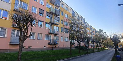 Usuną drzewa przy ulicy Kochanowskiego. Co w zamian?-14264