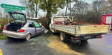 Droga pod Dobrzycą: najpierw się zderzyli ze sobą, a potem wbili w drzewo-14531