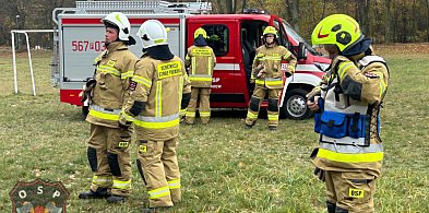 Groźna sytuacja na terenie szkoły. Interweniowali strażacy i energetycy-14636