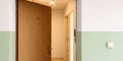 Patoadopcja. Pleszewskie Stowarzyszenie odebrało koty w Kaliszu