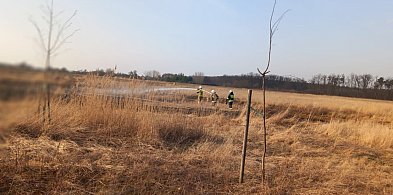 To drugi taki przypadek w ciągu dwóch dni. Pożar w Gołuchowie