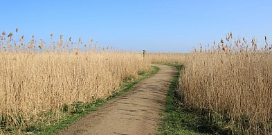 Cztery gminy w powiatu pleszewskiego z dofinansowaniem na drogi