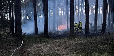 Strażacy z powiatu pleszewskiego ruszyli na pomoc poza swój teren