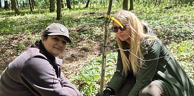 Nowe życie dla arboretum. Gołuchów stawia na przyszłość lasów
