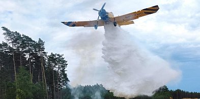 Dziewięć jednostek i samolot w akcji gaśniczej. Pracowita niedziela strażaków