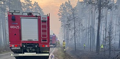 Nocny wyjazd wielkopolskich strażaków. Wśród nich ratownik z Pleszewa