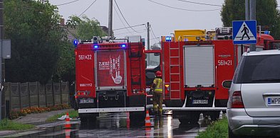 Poranne zdarzenie pod Pleszewem. Na miejscu strażacy i ratownicy medyczni